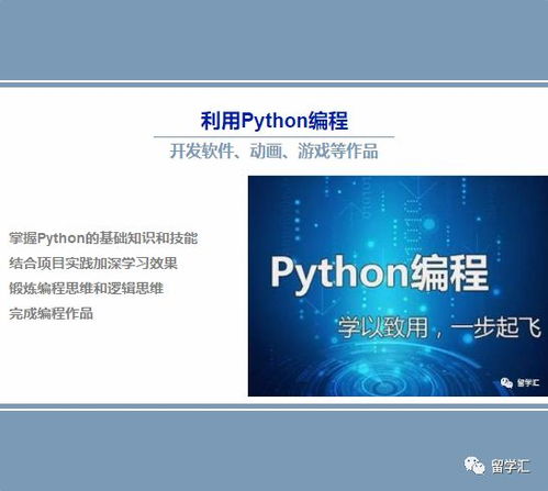 暑期人工智能基础班 python编程入门与实践,24课时掌握使用python,开发软件 动画 游戏等作品